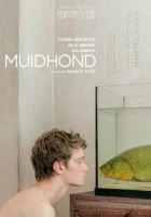  Линь смотреть онлайн (2019) 