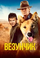  Счастливчик Бакли смотреть онлайн Везунчик (2021) бесплатно в HD