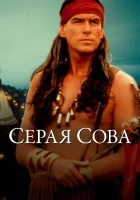  Серая сова смотреть онлайн (1999) 
