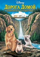  Дорога домой: Невероятное путешествие смотреть онлайн (1993) 