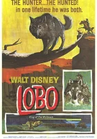  Легенда о Лобо смотреть онлайн (1962) 