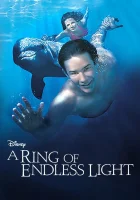  Кольцо бесконечного света смотреть онлайн (2002) бесплатно в HD