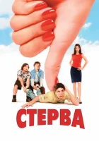  Стерва смотреть онлайн (2001) 