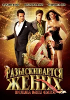  Разыскивается жених смотреть онлайн (2010) 