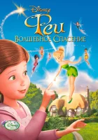  Феи: Волшебное спасение смотреть онлайн (2010) 