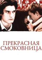  Прекрасная смоковница смотреть онлайн (2008) 