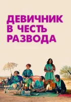  Девичник в честь развода смотреть онлайн (2024) 