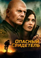  Опасный свидетель смотреть онлайн (2022) 
