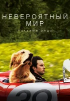  Невероятный мир глазами Энцо смотреть онлайн (2019) 