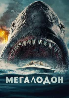  Мегалодон смотреть онлайн (2023) бесплатно в HD
