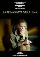  Светлая сторона Луны смотреть онлайн (2010) 