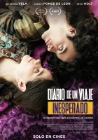  По следам дневника смотреть онлайн (2023) 