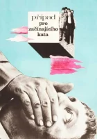  Дело для начинающего палача смотреть онлайн (1970) 