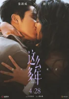  Все эти годы смотреть онлайн (2023) бесплатно в HD