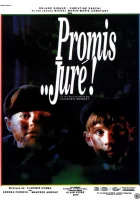  Клянусь… господин судья! смотреть онлайн (1987) 