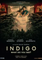  Индиго смотреть онлайн (2023) 