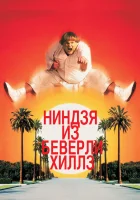  Ниндзя из Беверли Хиллз смотреть онлайн (1997) 