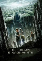 Бегущий в лабиринте смотреть онлайн (2014) 