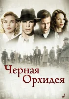  Черная орхидея смотреть онлайн (2005) 
