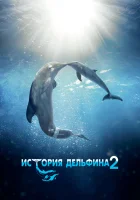  История дельфина 2 смотреть онлайн (2014) 