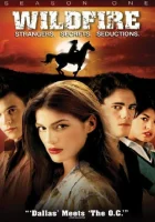  Дикий огонь смотреть онлайн Вайлдфайр сериал 1-4 сезон 