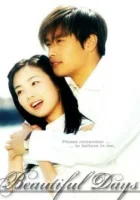  Чудесные дни смотреть онлайн Beautiful Days / Areumdawoon naldeul сериал 1 сезон 