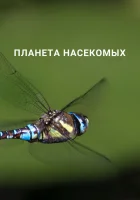  Планета насекомых смотреть онлайн сериал 1 сезон 