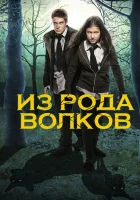  Из рода волков смотреть онлайн Волчья кровь сериал 1-4 сезон 