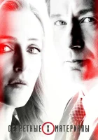  Секретные материалы смотреть онлайн The X-Files сериал 1-11 сезон 